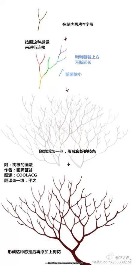 树枝 绘画 教程