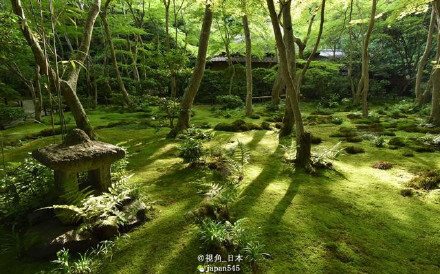 京都，岚山・嵯峨 日本/和风/风景 By新浪微博：视角_日本