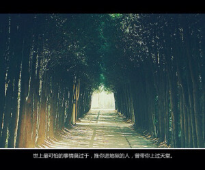 夜深不该思念