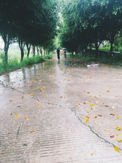 又是一年梅雨季