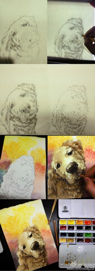 【绘画教程】喜欢狗狗的转走吧！！！水彩加水溶彩铅示范