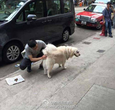 活的连狗都不如