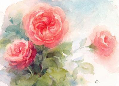 Watercolor rose by CMWATERCOLOR
