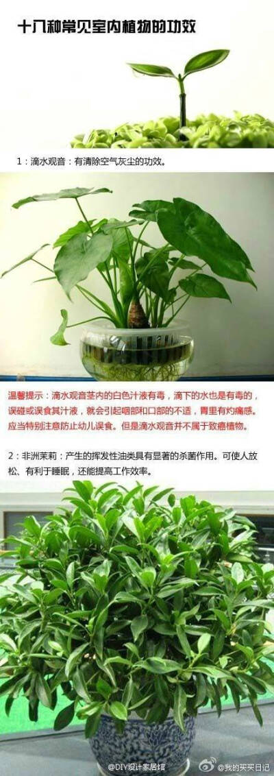 植物的作用