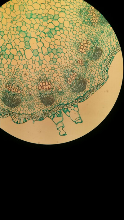 #我的专业你猜不到#