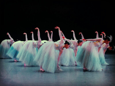 #我的专业你猜不到#