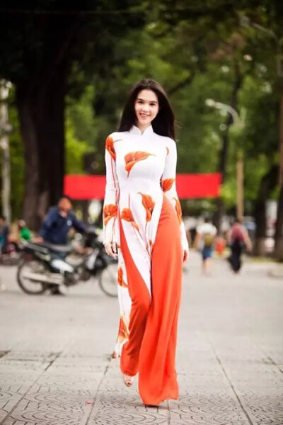 奥黛（Ao Dai），类似于中国旗袍的越南的传统服装。越南官方也认为奥黛源自中国旗袍。奥黛是中文对越语Ao Dai的音译。“Ao”源于汉语“袄”，而Dai的意思是“长”。但是在越南党政的官方中文版网站里，始终用“旗袍…