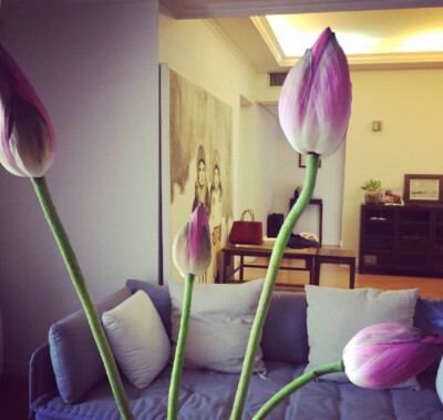 #我的专业你猜不到#