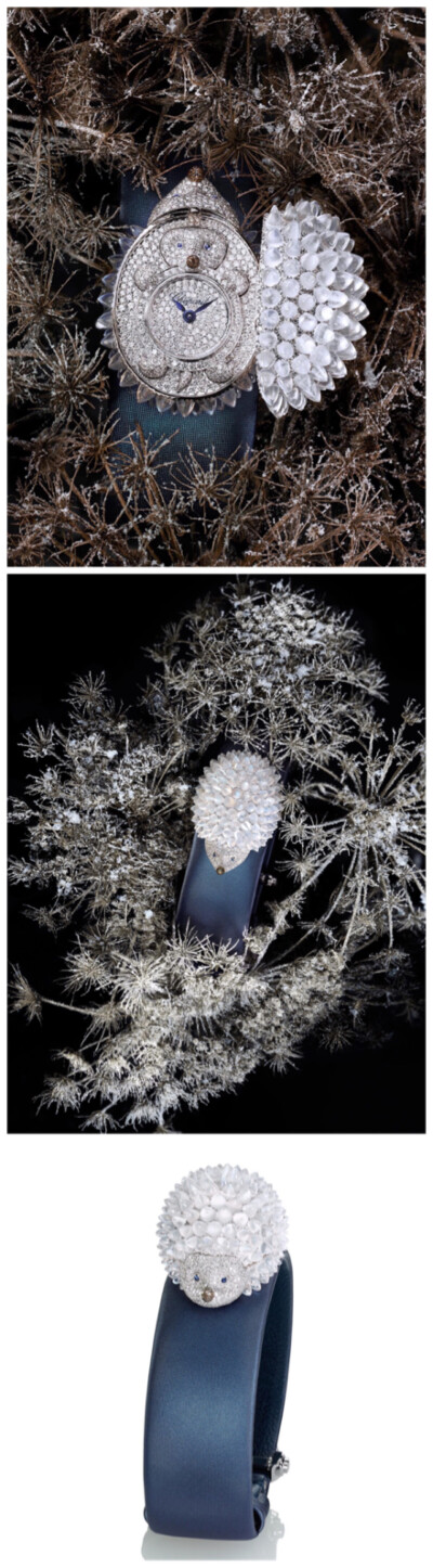 Chopard 推出「Hortensia」高级珠宝表，镶嵌着15.05克拉月光石和4.08克拉的钻石。刺猬的眼睛是蓝宝石，鼻子是棕色钻石。轻轻触碰鼻头，刺猬的「外壳」会缓缓打开，呈现出浮雕小刺猬造型的满钻表盘。