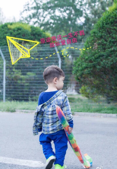 原谅我这一生放荡不羁爱自由……