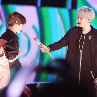 chanbaek：灿白