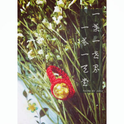 一叶一世界，一花一天堂。