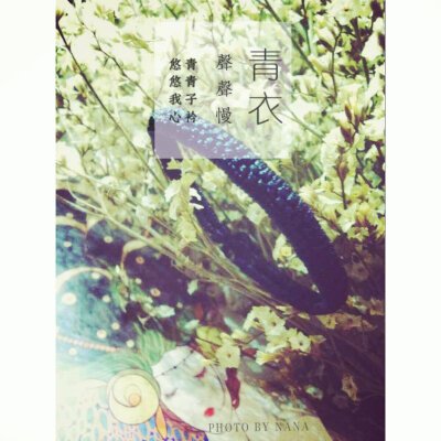 青青子衿，悠悠我心，但唯君故，沉吟至今。