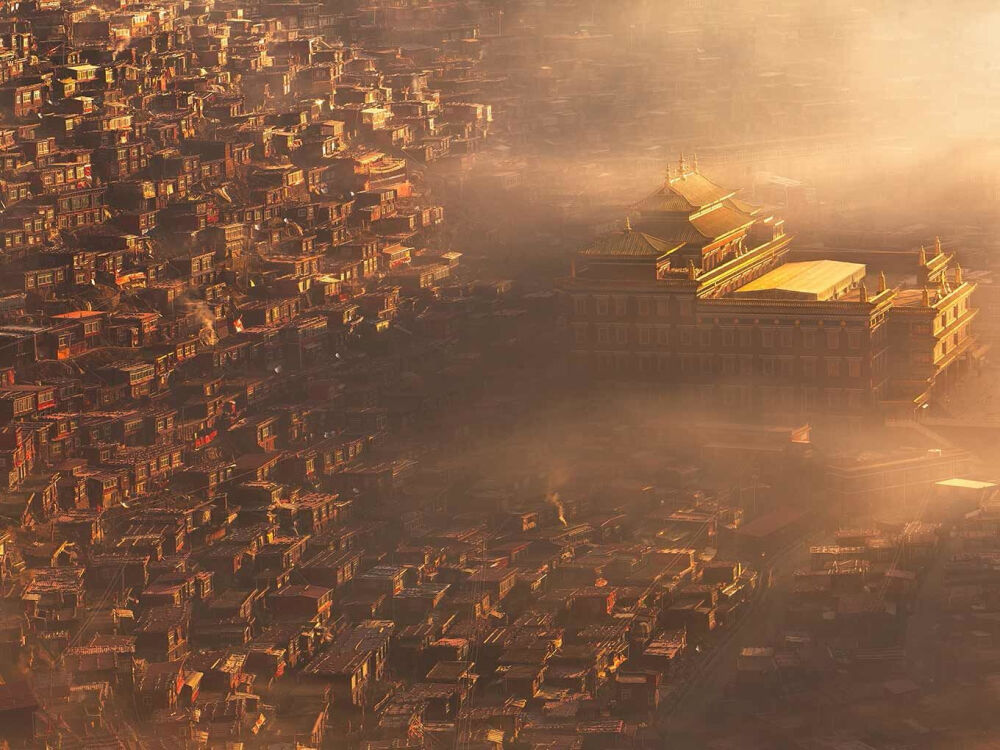 不如不遇倾城色。