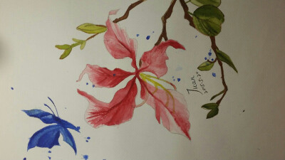 #我的专业你猜不到#