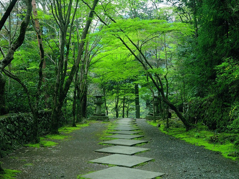 知道地址的请留言，虽然不确定是否每一张图里的路都是真实存在的