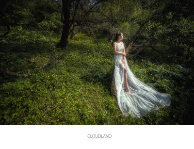 【梦的雕刻师】