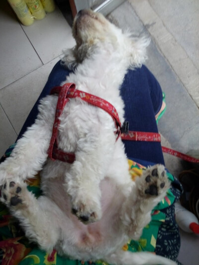 伸个懒腰