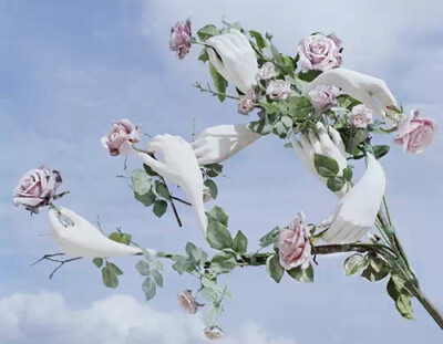 英国摄影师Tim Walker