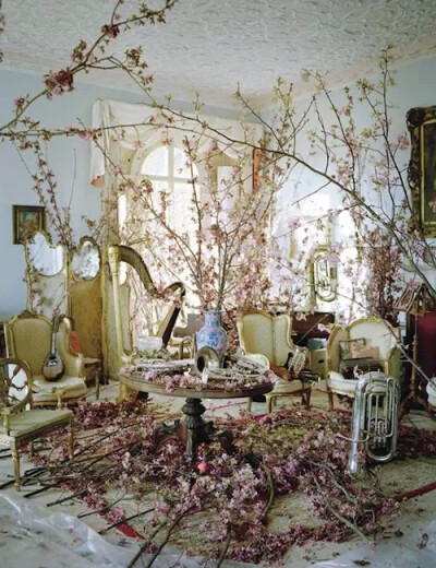 英国摄影师Tim Walker