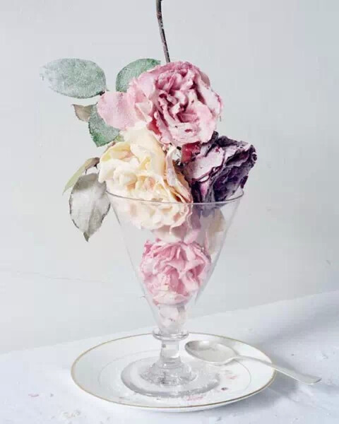 英国摄影师Tim Walker