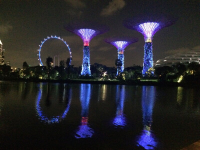 滨海湾花园