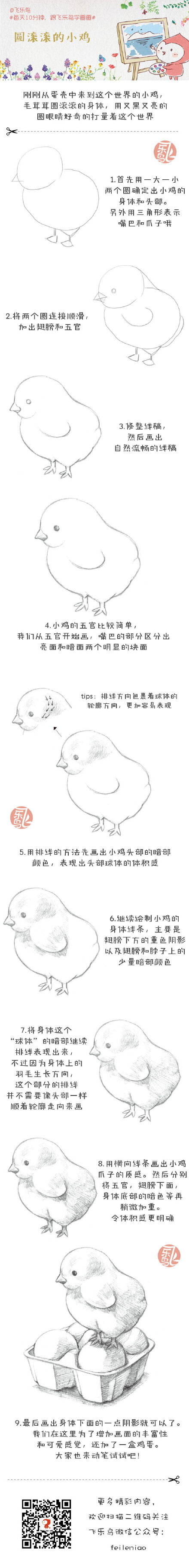 每天10分钟,跟飞乐鸟学画画-圆滚滚的小鸡.做手账素材也不错哦.出自-飞乐鸟.