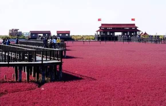 红海滩，中国盘锦