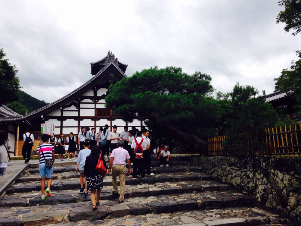 天龙寺里遇到了很多来修学旅行的学生。