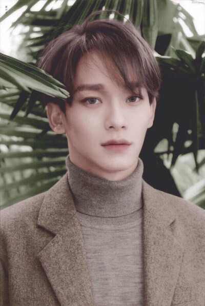 #EXO #chen #金钟大 滤镜不同