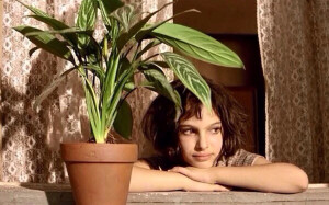 这个杀手不太冷  玛蒂达