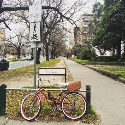 墨尔本大学 自行车