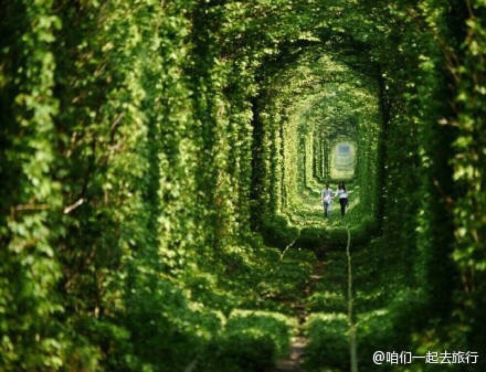 位于乌克兰克莱文镇的一条火车隧道，当地人称之为Tunnel of Love，有机会要跟心爱的人去一次～