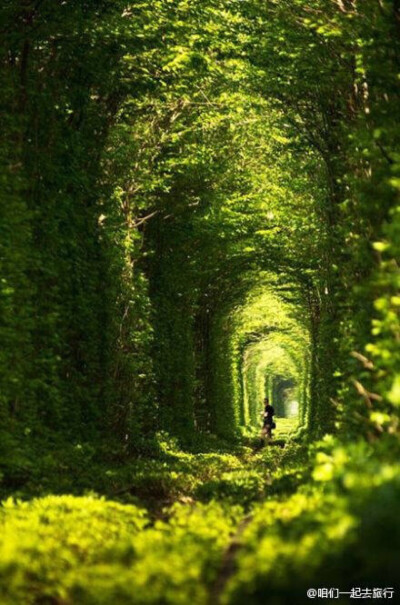 位于乌克兰克莱文镇的一条火车隧道，当地人称之为Tunnel of Love，有机会要跟心爱的人去一次～