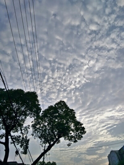 雨过天晴傍晚下班后