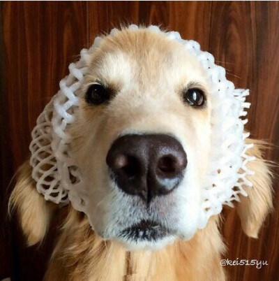 可以做头像思密达