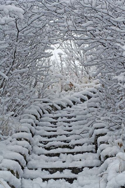 雪的楼梯，阿尔伯塔，加拿大