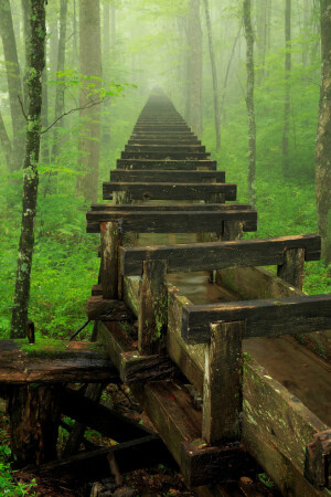 wanderthewood: Mabry Mill, Blue Ridge Parkway, Virginia by sjohnstoncpa