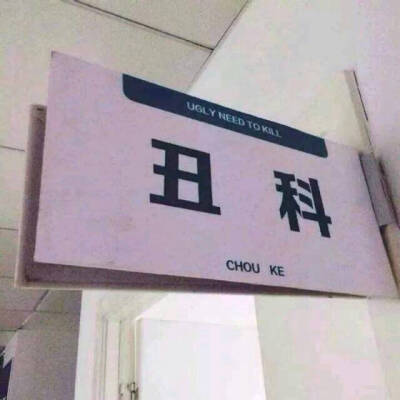 丑科