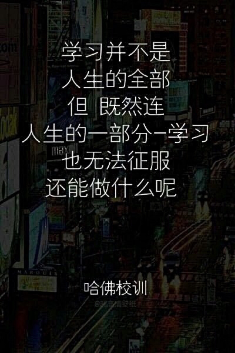 哈佛 奋斗不止