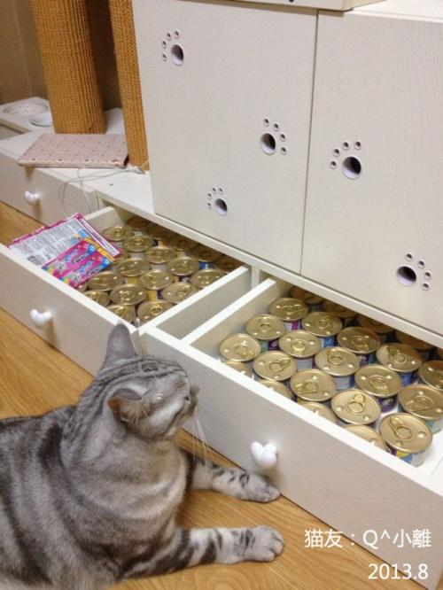  CatS猫家具