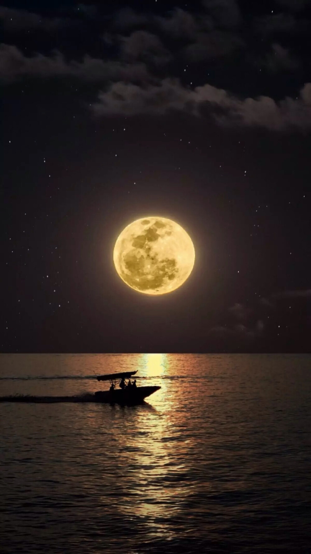 唯美夜景 星空 月光如洗 自然风景 唯美壁纸 插画 不论我在哪里，你都是照耀在我心里的一轮明月。