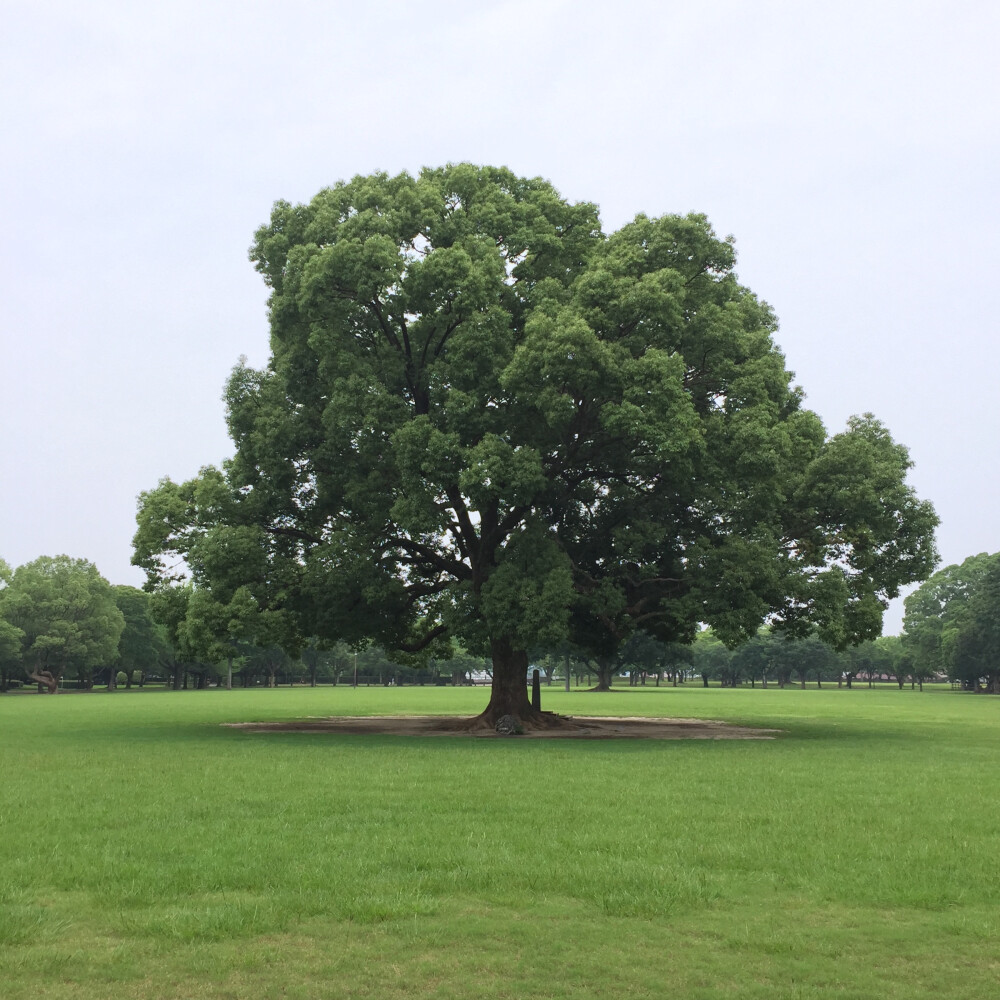 开始HDR模式后，天空的曝光有所降低，同时底部的亮度也所有提升