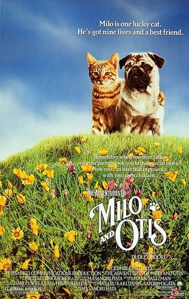 「子猫物语｜Milo and Otis」 是畑正宪导演的电影。
在北海道一个人工的动物王国里，住着一只名叫米罗的调皮虎纹小猫，他有一个青梅竹马的好朋友——名叫奥提斯的忠厚老实的灰色哈巴狗。两个小家伙每天在一块跳跃玩闹，全无忧愁。某天，米罗在和奥提斯捉迷藏时躲进一个箱子里，没留神却和箱子顺水漂走，焦急的奥提斯一路追赶。在这段充满惊险刺激的旅途上，米罗遇到各种各样新奇好玩的事情。当然，对于奥提斯来说可没那么轻松，他担心好朋友的安全，紧紧追寻着米罗的踪迹。最终两个好友再次相遇，他们也收获了各自的幸福……