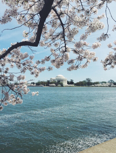 花海