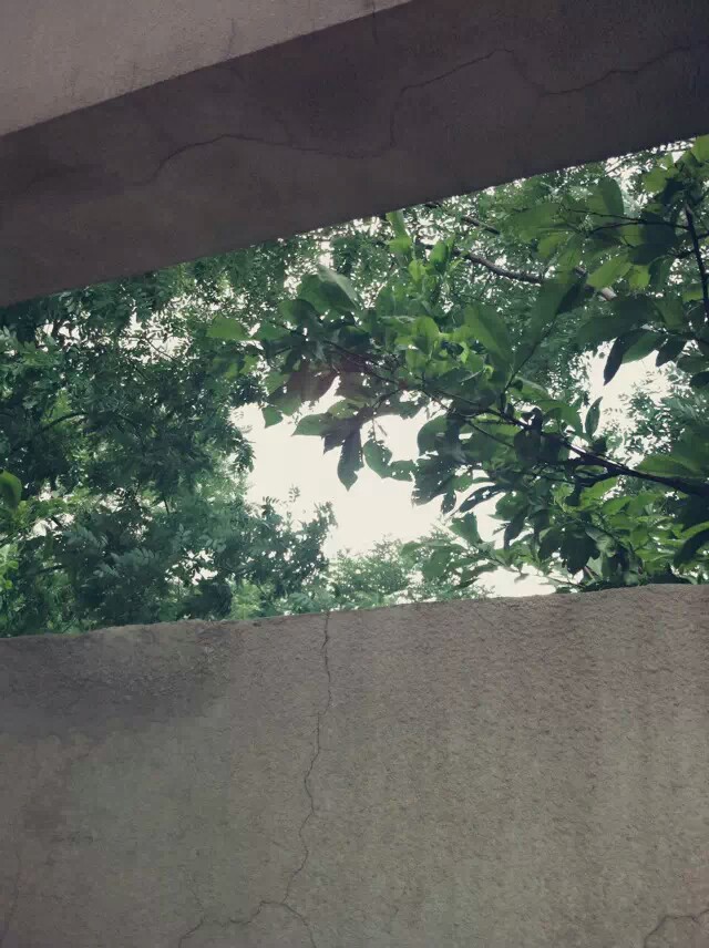 属于我的夏天。