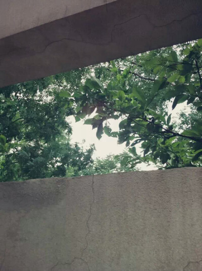 属于我的夏天。