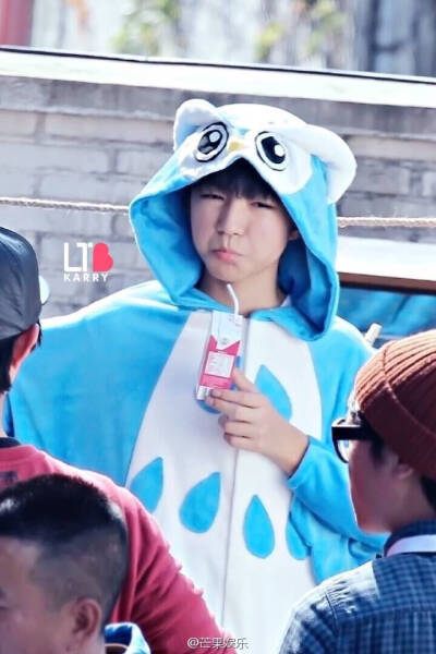 啊呜，猫头鹰好可爱ㅍ_ㅍ我先抱回家了ㅍ_ㅍ【图cr.logo】