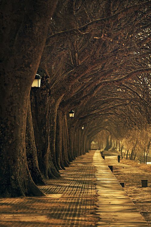 灯笼走，蓬蒂-利马，葡萄牙 Lantern Walk, Ponte de Lima, Portugal