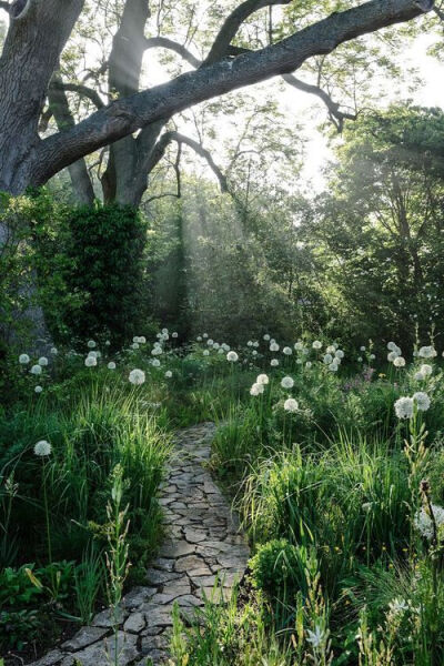 Cobblestone Path, Provence, France鹅卵石路，普罗旺斯，法国